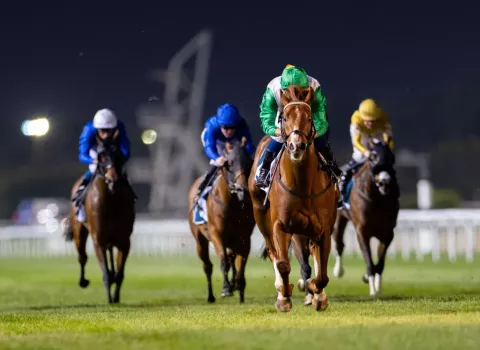 Dubai Racing Club  is a client of Hodba Khalaf